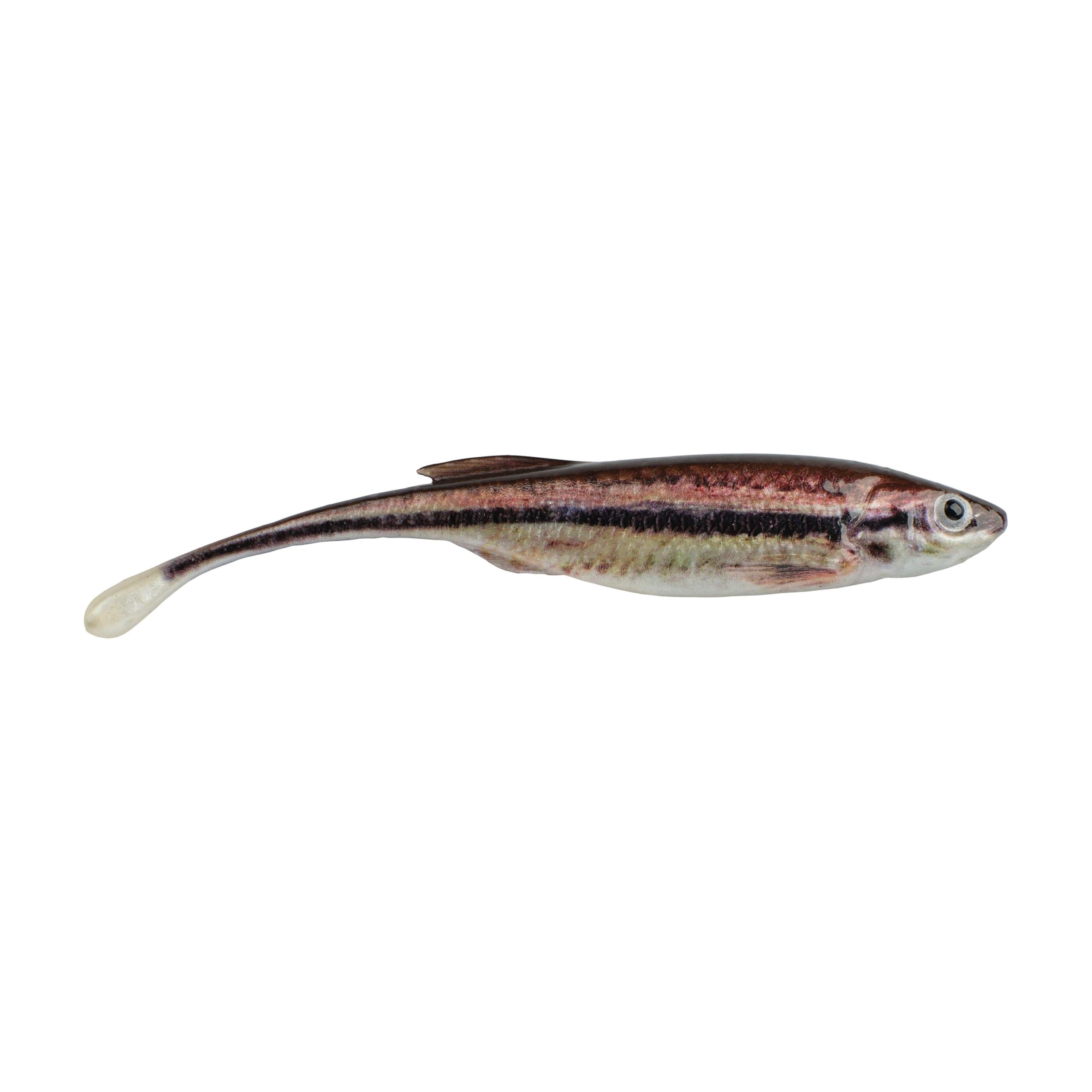 Berkley PowerBait Drip Minnow Fishing Soft Bait