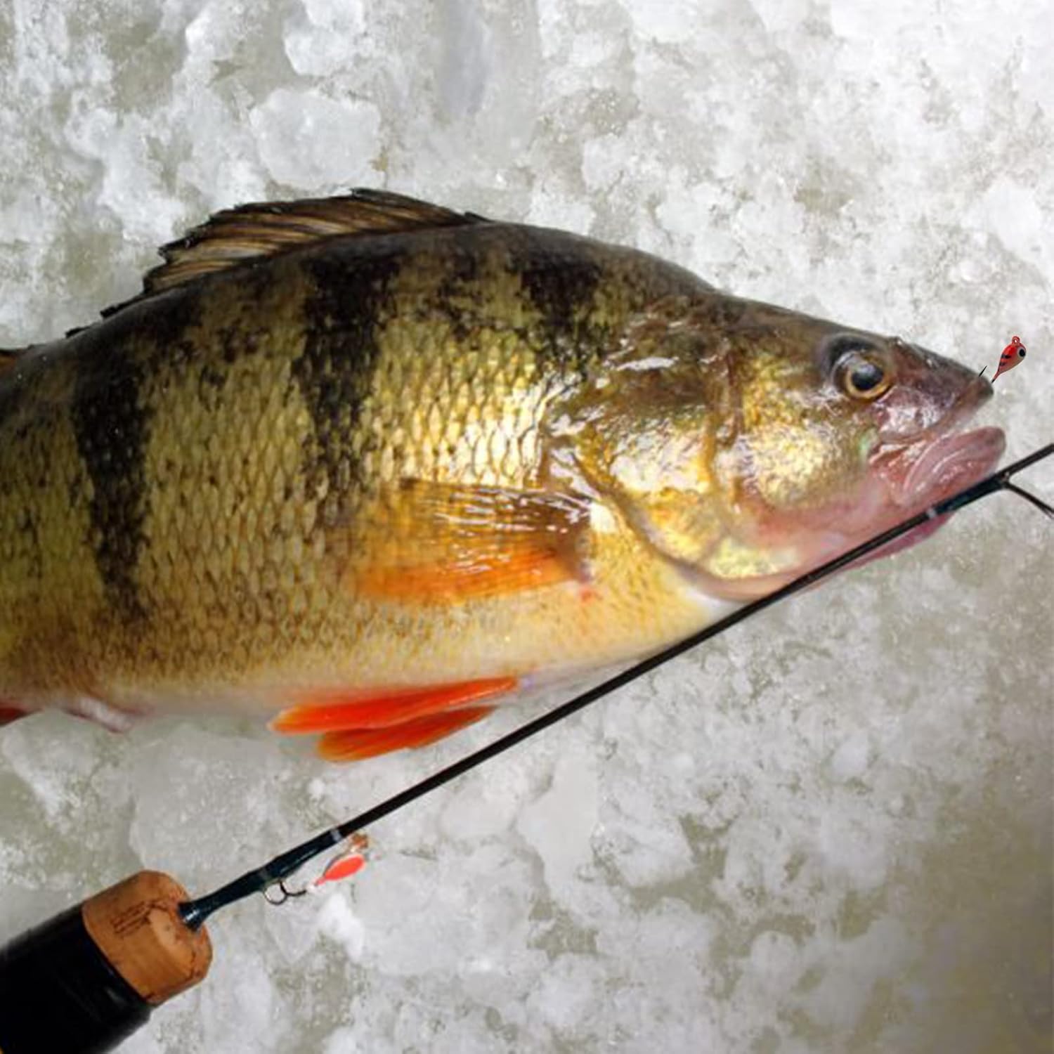 15 Pcs Ice Fishing Jigs for Panfish Walleye Sunfish Winter Ice Jigging Tackle Accessories Box Colorful Lead Jig Heads Glow Jigs for Ice Fishing