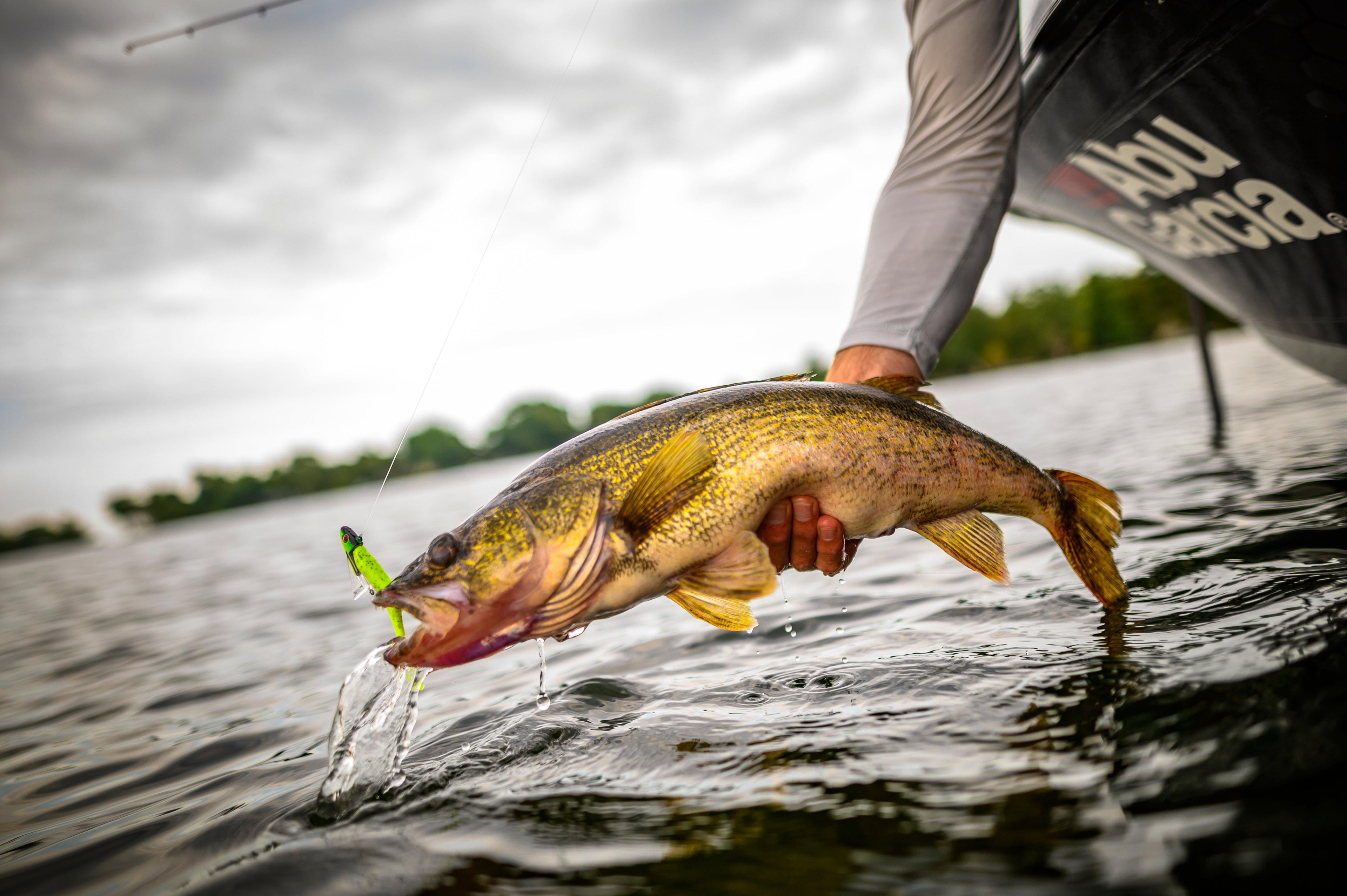 Berkley  Minnow Fishing Soft Bait