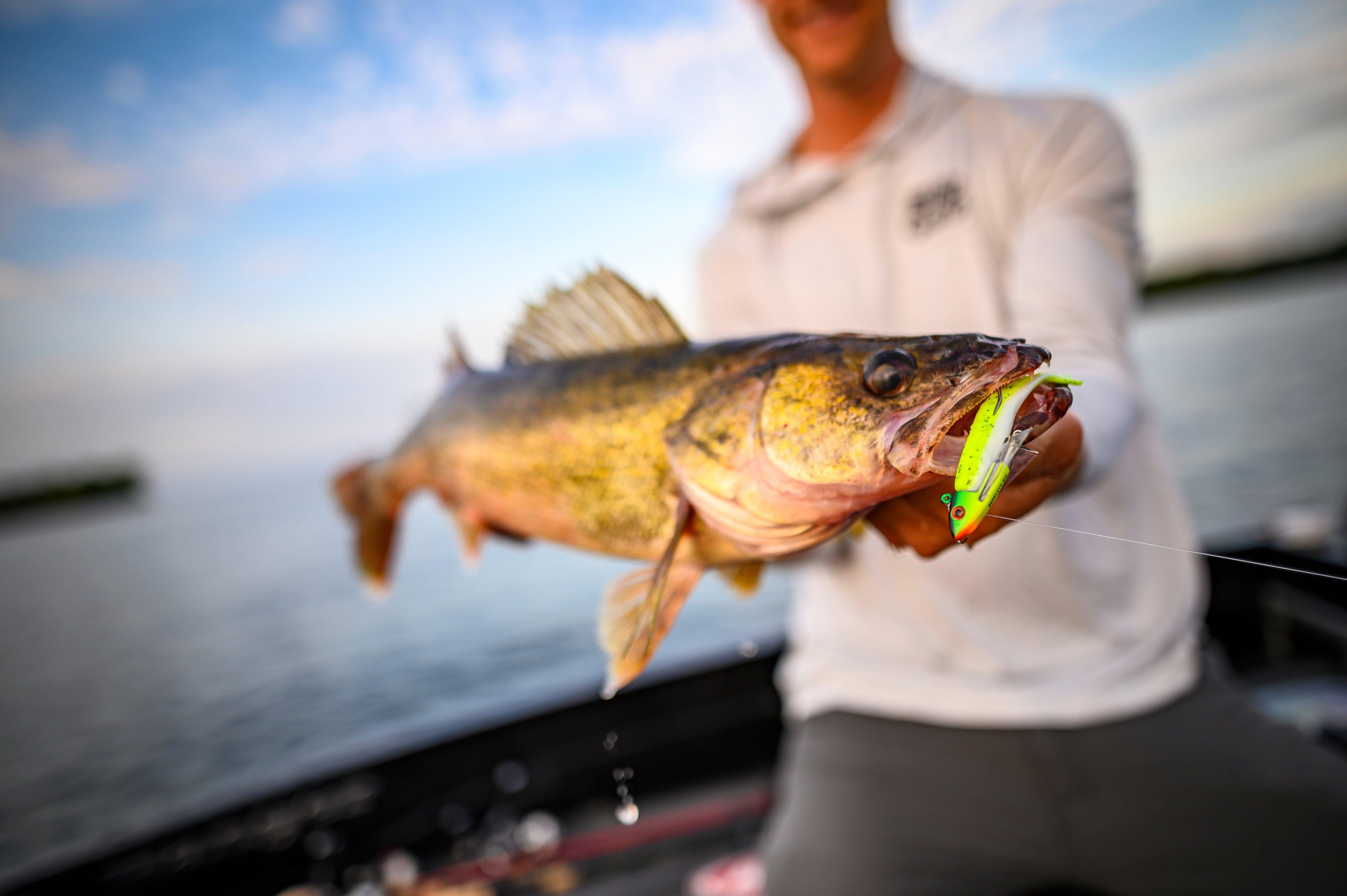 Berkley  Minnow Fishing Soft Bait